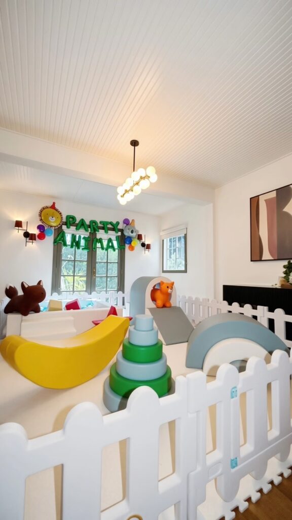 Party animal theme soft play indoors